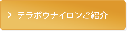 テラボウナイロンご紹介